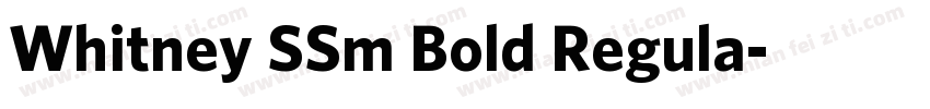 Whitney SSm Bold Regula字体转换
